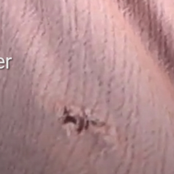 FREE PEOPLE  One Adella Slip Pink Rose Size Small ***flaw*** - Picture 5 of 5